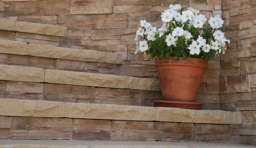 Piedra Cultivada